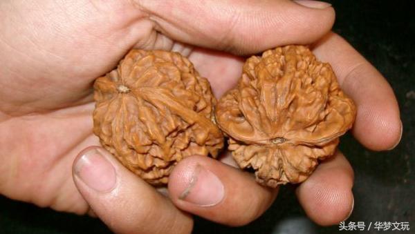 文盘核桃与武盘的图片,核桃武盘和文盘啥意思