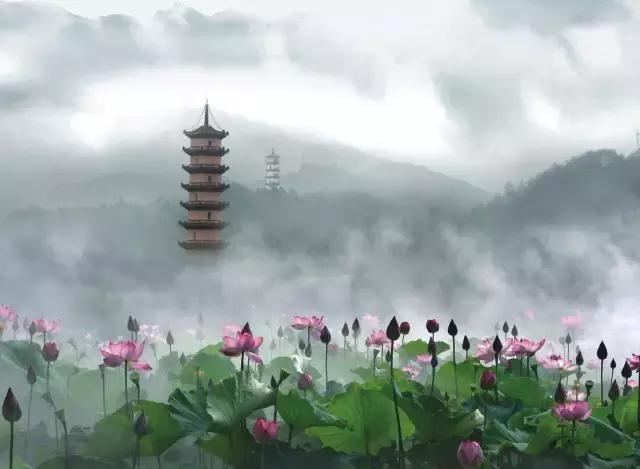 金华十大赏花景点排名,金华荷花景点大全