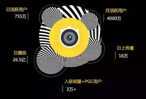 秒拍日活用户数最新,秒拍短视频日活