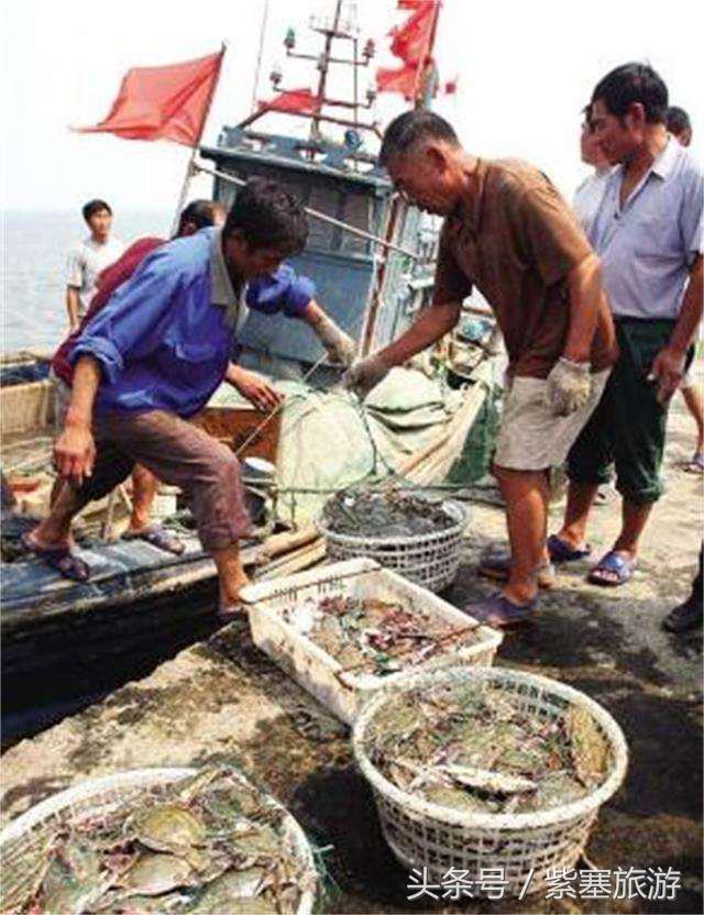 河北田园农家乐攻略,河北海边最有特色的海边农家乐