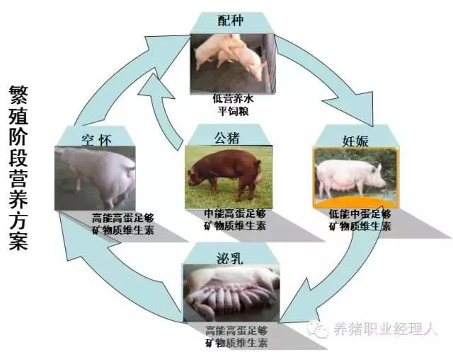 前沿医疗技术和治疗方法,二胎综合征的原因及解决方案