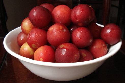 想要吃得更苗条你要记住这些食物,这8种普通食物或让你身材更苗条