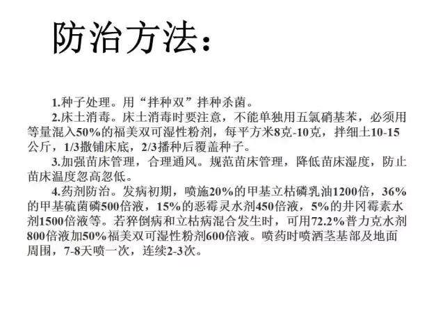 辣椒卷叶病虫害图谱及防治方案,辣椒病虫害大全