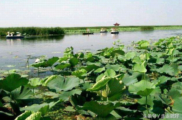雄安新区白洋淀今日最新消息,雄安白洋淀近况