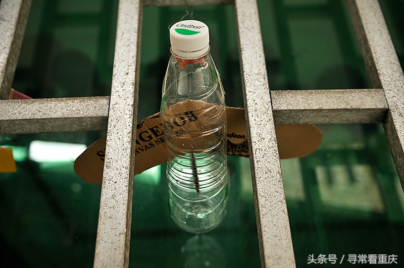 渝黔茶马古道视频,探访茶马古道上的蜈蚣桥