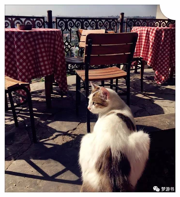 宋宋：看我从土耳其都买了些什么回来