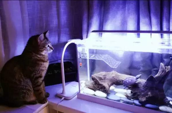 不砸厨房阳台改造,不砸厨房墙体设计