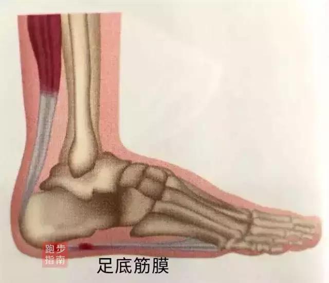 跑步脚后跟和脚底板痛,跑步脚后跟疼怎么办用什么药