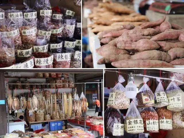 鑰嶉叿鎸囧崡,娓歌墖鐜╄浆鍗楁矙缇ゅ矝