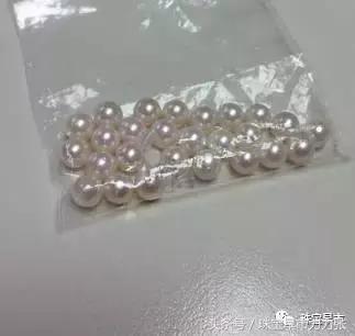真正的野生珍珠图片,野生珍珠贵吗