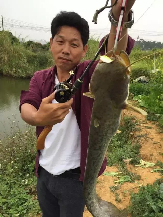 雷霆轮毂x5,鼓轮雷霆