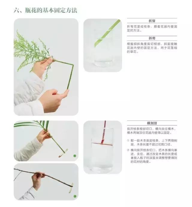 学习插花真的有前途吗,在家看书插花