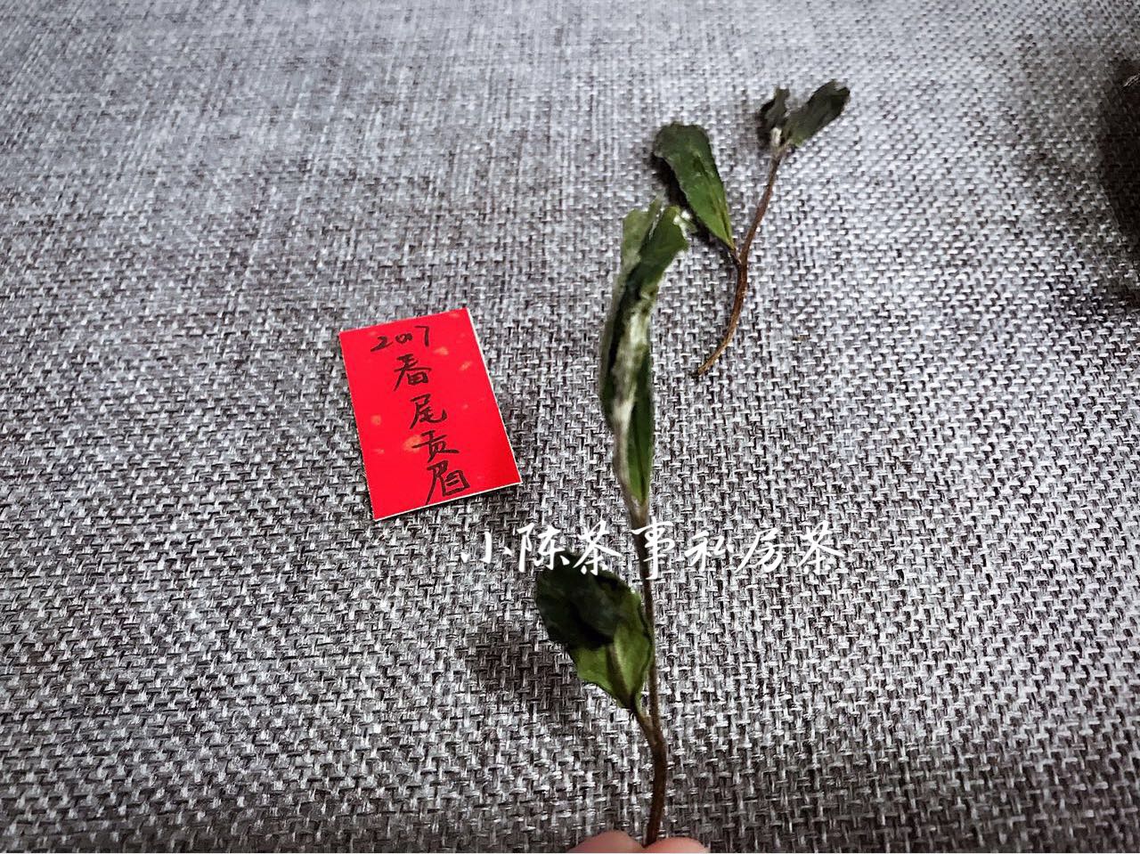 如何鉴赏一款新白茶寿眉,白茶寿眉和贡眉区别在哪