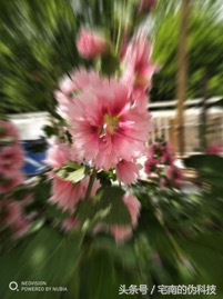 努比亚z17最便宜的手机,努比亚z17s拍照星空