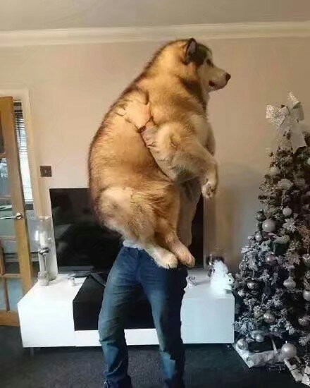 她这辈子里唯一愿意认输的事