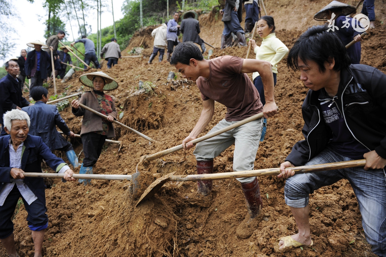 面对灾难感悟,面对灾难与未知