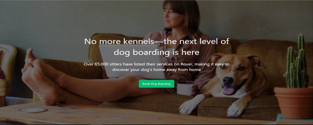 开会不能遛狗?出差在外狗狗怎么办?宠物界Uber与Airbnb帮您搞定爱宠所需!