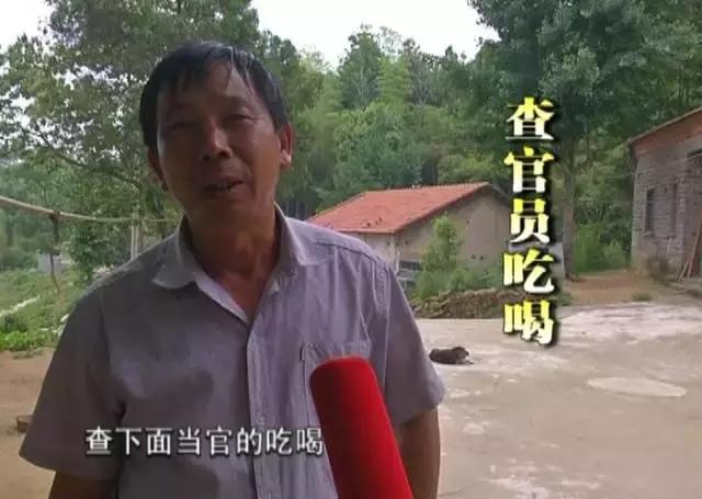 纪委是干什么的视频,纪委的日常工作做什么