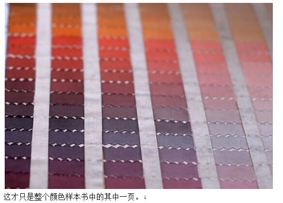 爱马仕对lv的评价,爱马仕lv香奈儿哪个档次高