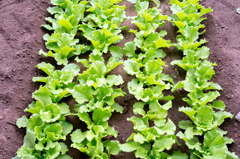 蓬莱温泉旅游度假村,蓬莱适合度假的小镇