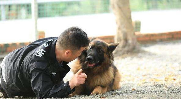 道格队长养宠物,道格宠物训练