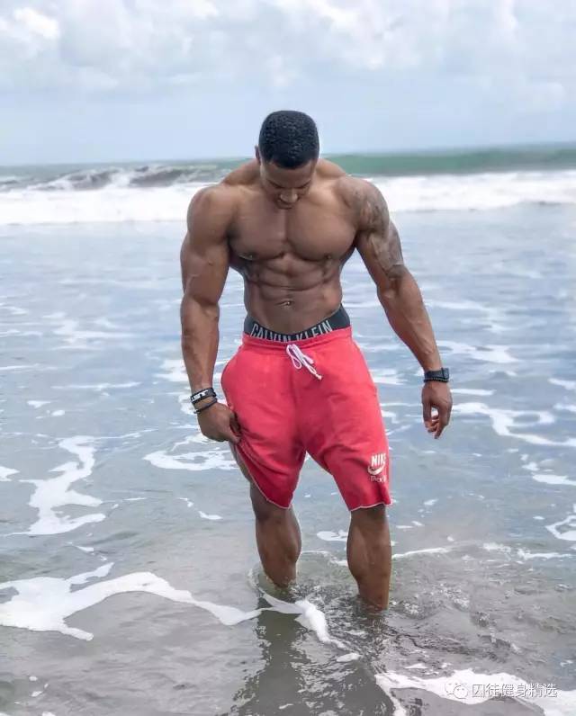 用雕刻刀雕刻动物,用木头雕刻熊猫