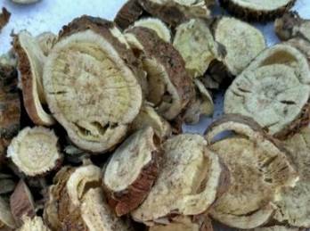 中药知识必学黄芩,中药知识必学代赭石