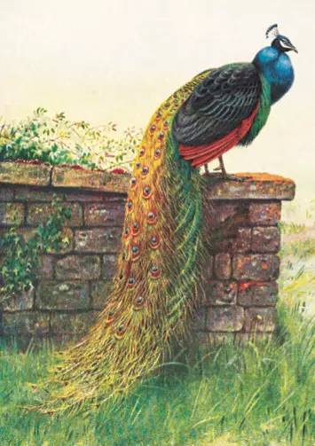 历史新书,经典完本老书推荐