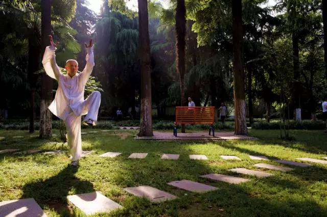 栖霞山丨夏至：翻空白鸟时时见，照水红蕖细细香