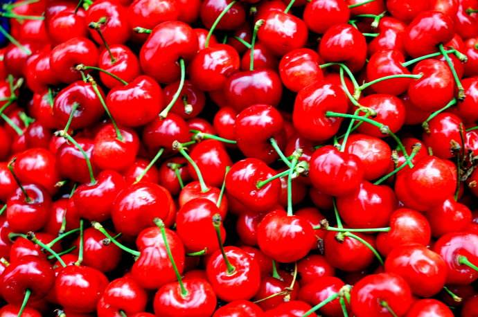 樱桃里面有虫子吃了会怎么样,樱桃里有虫子吃了对身体有害吗