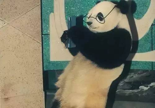 取消漫游费后流量变多了,取消流量漫游费还分省内国内吗