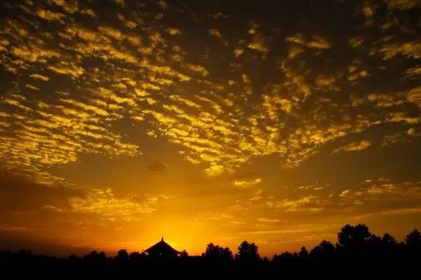 栖霞山丨夏至：翻空白鸟时时见，照水红蕖细细香