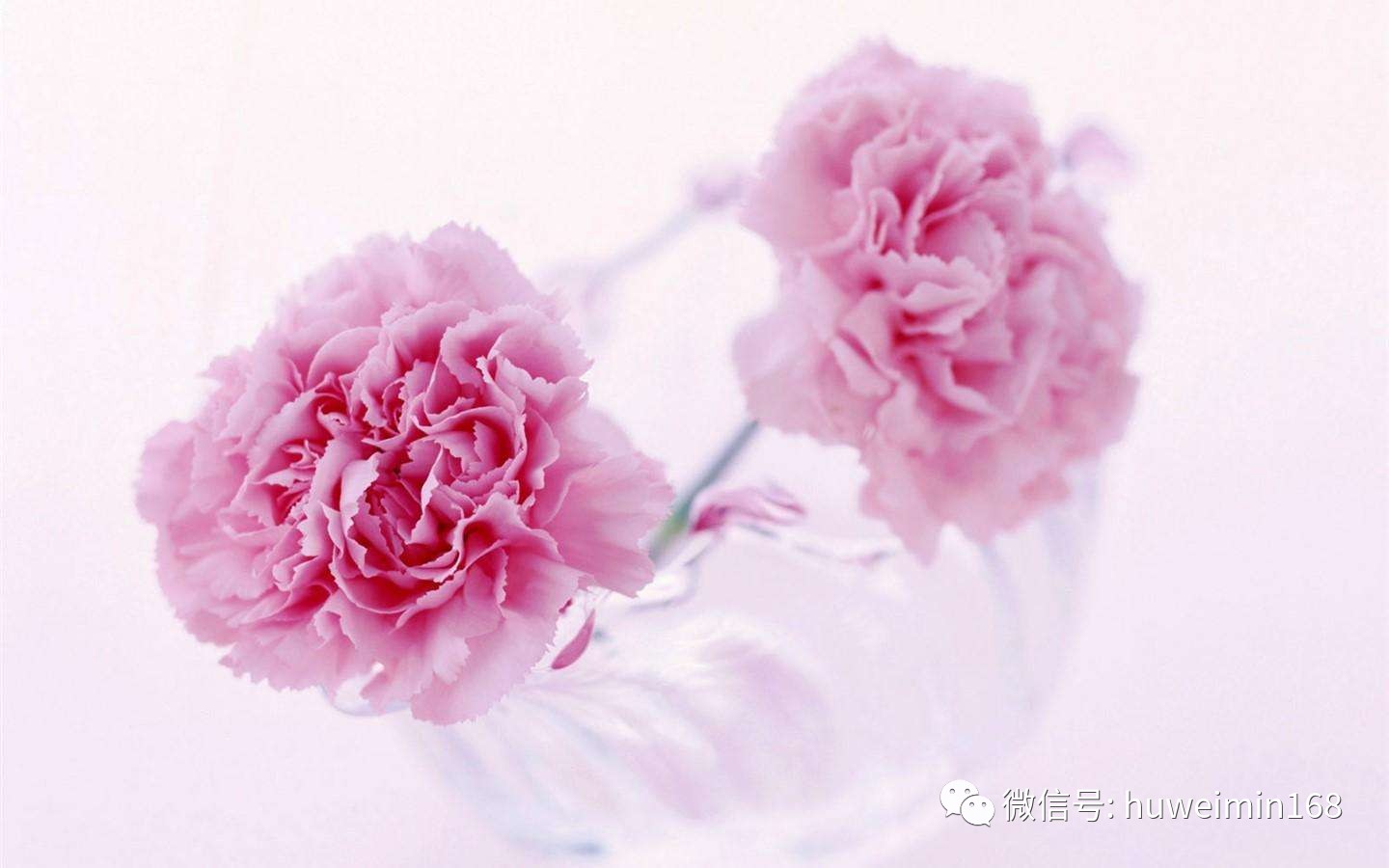 胡卫民医生讲座,胡卫民医生抗癌