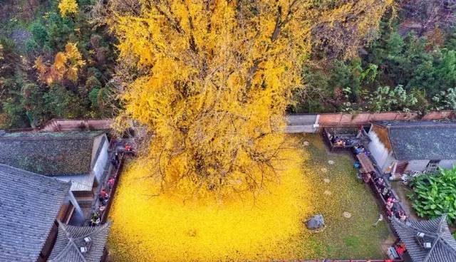 西安最有名旅游景点排名,西安十大值得去的景点排名