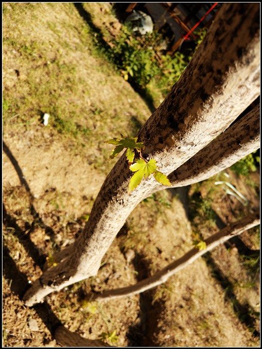 htcu11手机详细参数,htcu11手机测评