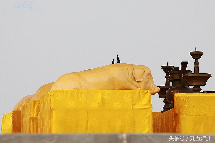 今天是夏至吗生活中应注意哪些,今天是夏至有什么说法吗