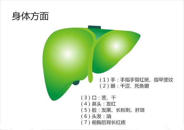 李铁红脂肪肝好吗,李铁红谈肝硬化