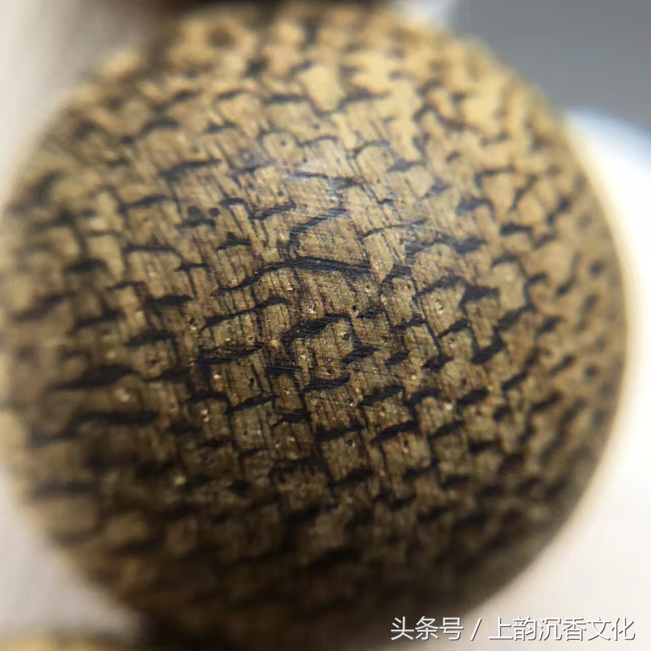 奇楠沉香养生方法,沉香十大养生养心功能