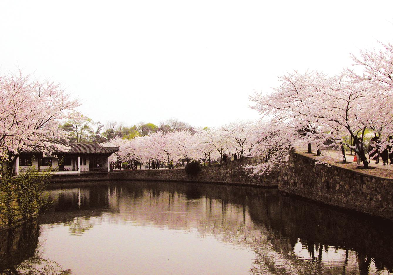 最适合12星座去的城市,12星座最命中注定的海岛