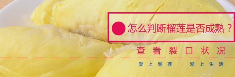 怎么看榴莲熟不熟能不能吃,涨知识了有些食物不能冷冻