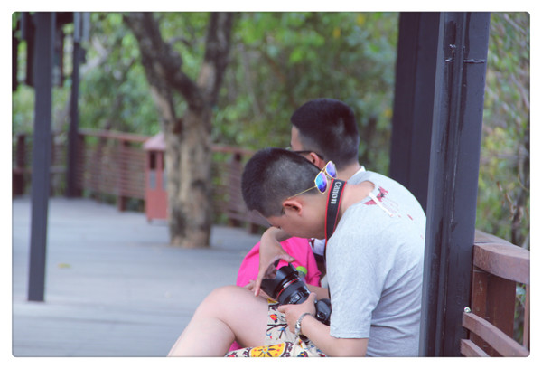 在三亚总有一片海属于一个人,在三亚椰梦长廊海边