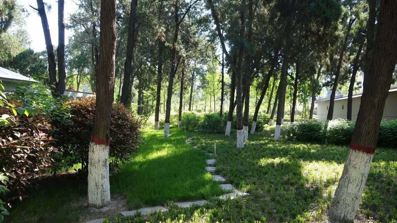 石家庄和平公园需要门票吗,石家庄和平公园几个门