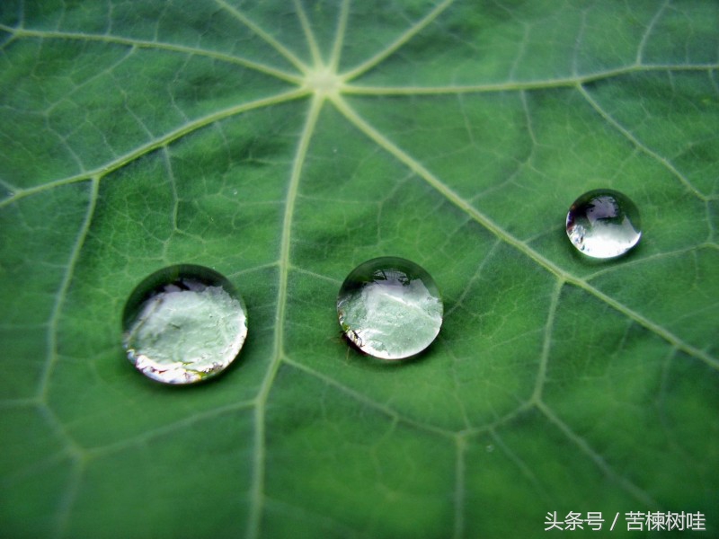 活着，不是为了取悦他人，生命的意义不是如何把自己改变成别人喜欢的样子，而是尽力做一个自己喜欢的人