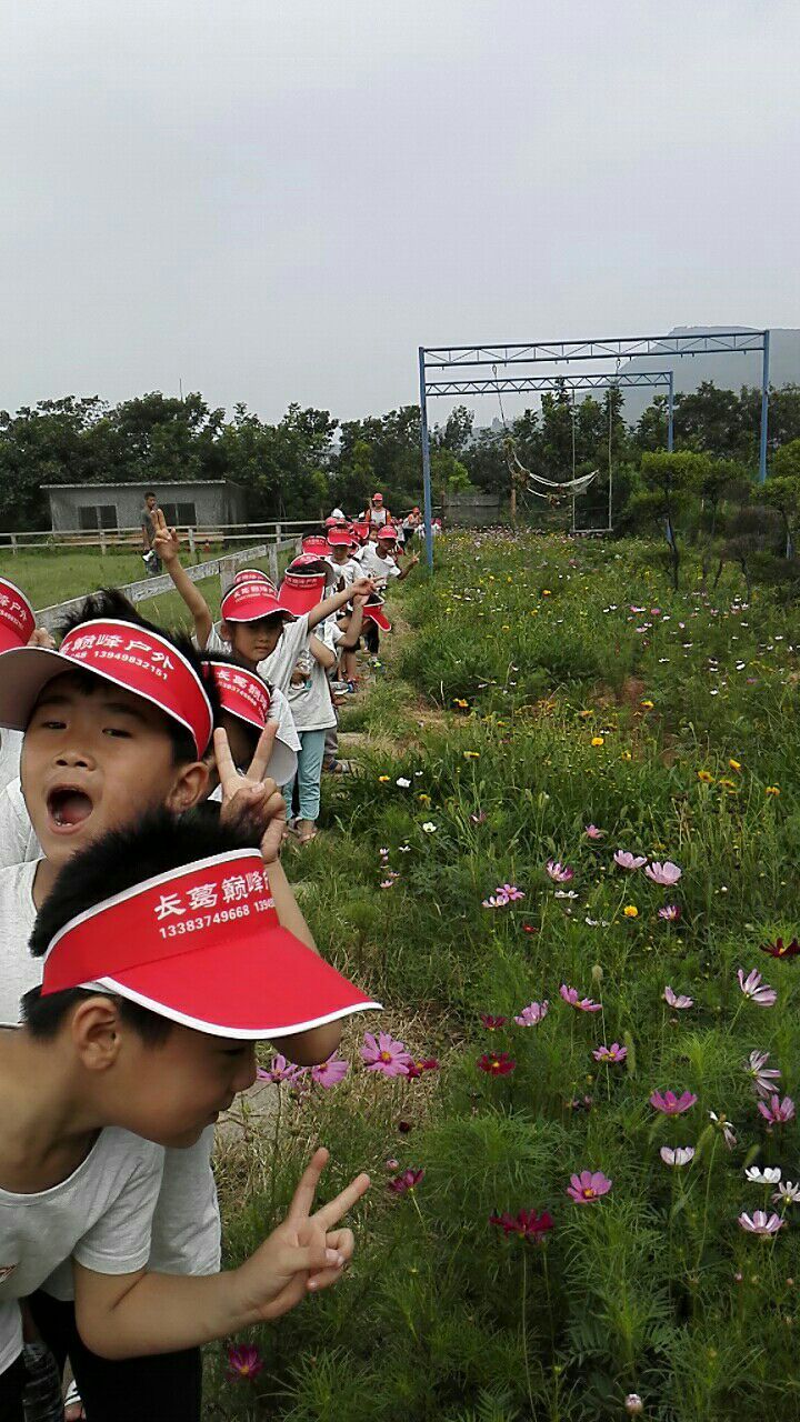 幼儿园毕业班夏令营活动,幼儿园大班毕业夏令营走进小学