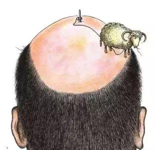 每天梳头100下反而掉发更严重了,怎么一梳头就掉发呢