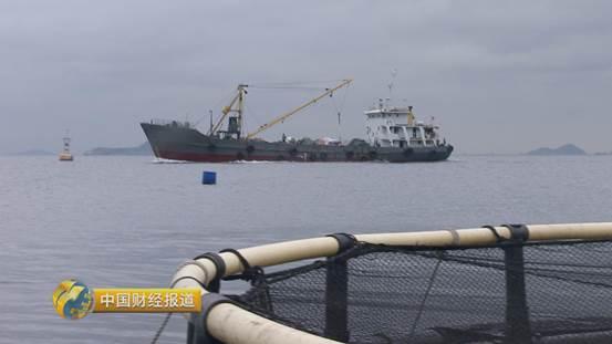 十亩水库养鱼一年收益,一亩鱼塘养鱼的收益