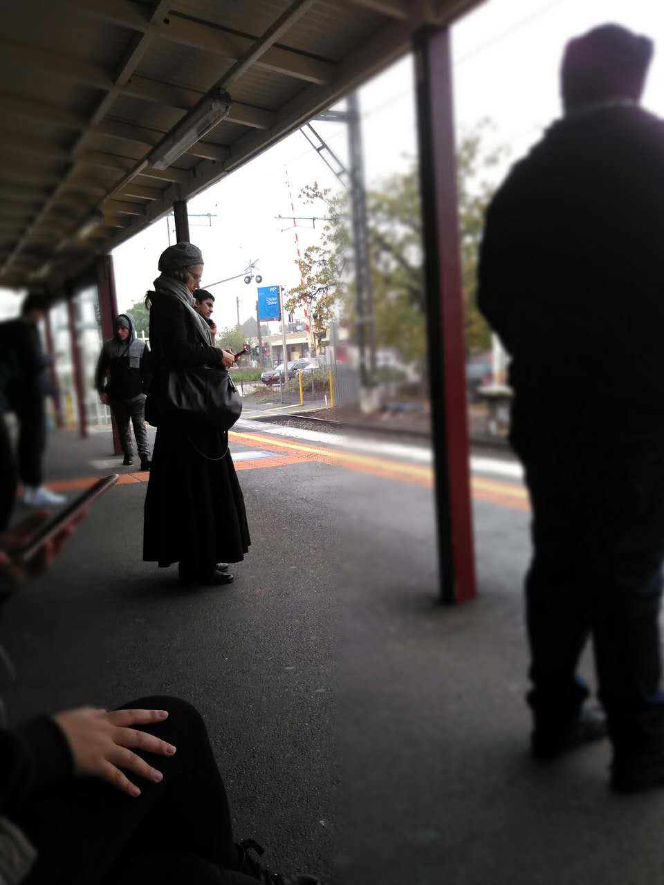 流浪在悉尼,流浪在澳洲的真实生活