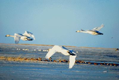 自媒体创业的机会和风险,低成本的自媒体创业机会