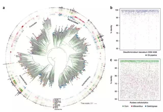 鎺㈢储缁嗚弻涓栫晫,鍙戠幇涓庢帰绱㈠井鐢熺墿鎻