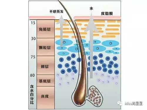 射频类美容仪能去除法令纹吗,改善抬头纹和法令纹的美容仪